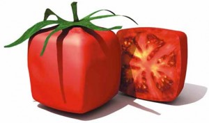 square tomato